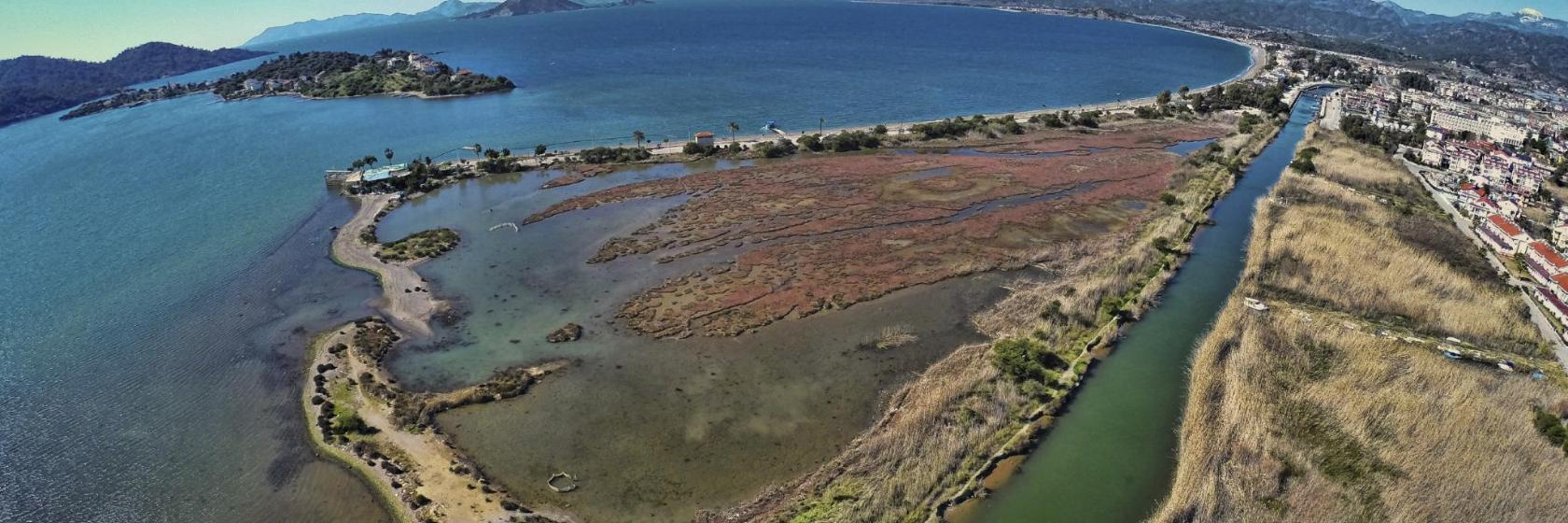 Çalış Plajı Kuş Cenneti